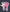 GENESIS PINK LIMITED EDITION